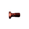 Stainless steel banjo screw - Ezdraulix