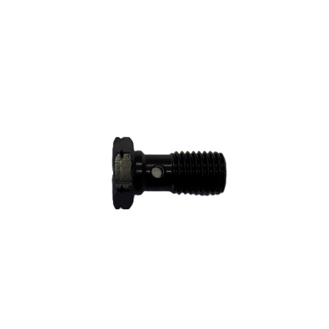 Stainless steel banjo screw - Ezdraulix