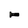 Stainless steel banjo screw - Ezdraulix