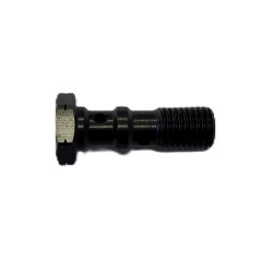 Stainless steel banjo screw - Ezdraulix