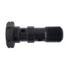 Stainless steel banjo screw - Ezdraulix